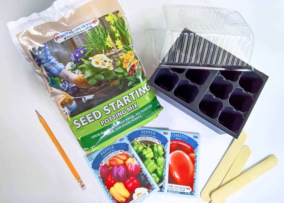 5 Things You Need To Start Seeds Indoors – Pinch Of Seeds