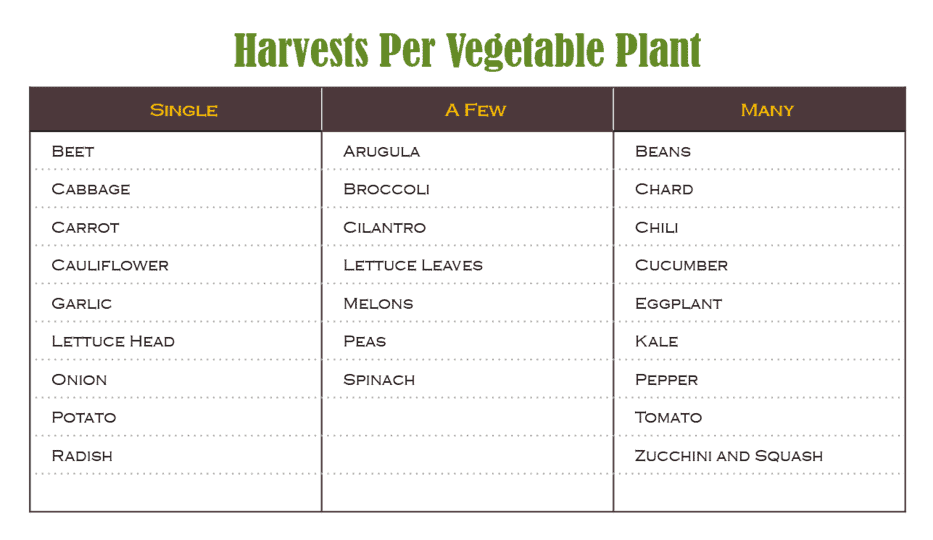 How many harvest per vegetable plant