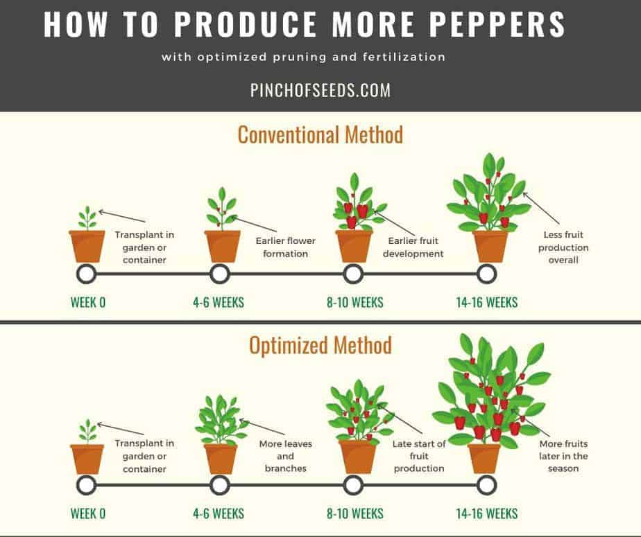 Produce more peppers