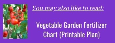 Reference chart for vegetable plant fertilization schedule