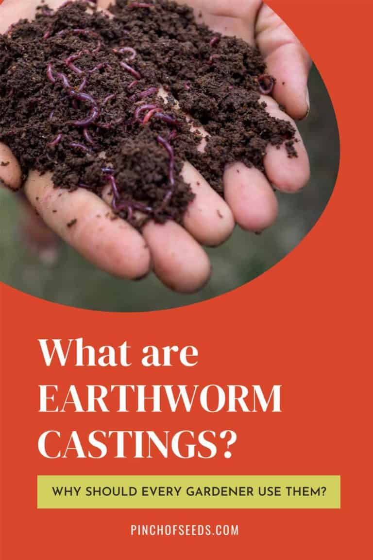 download worm castings how to use