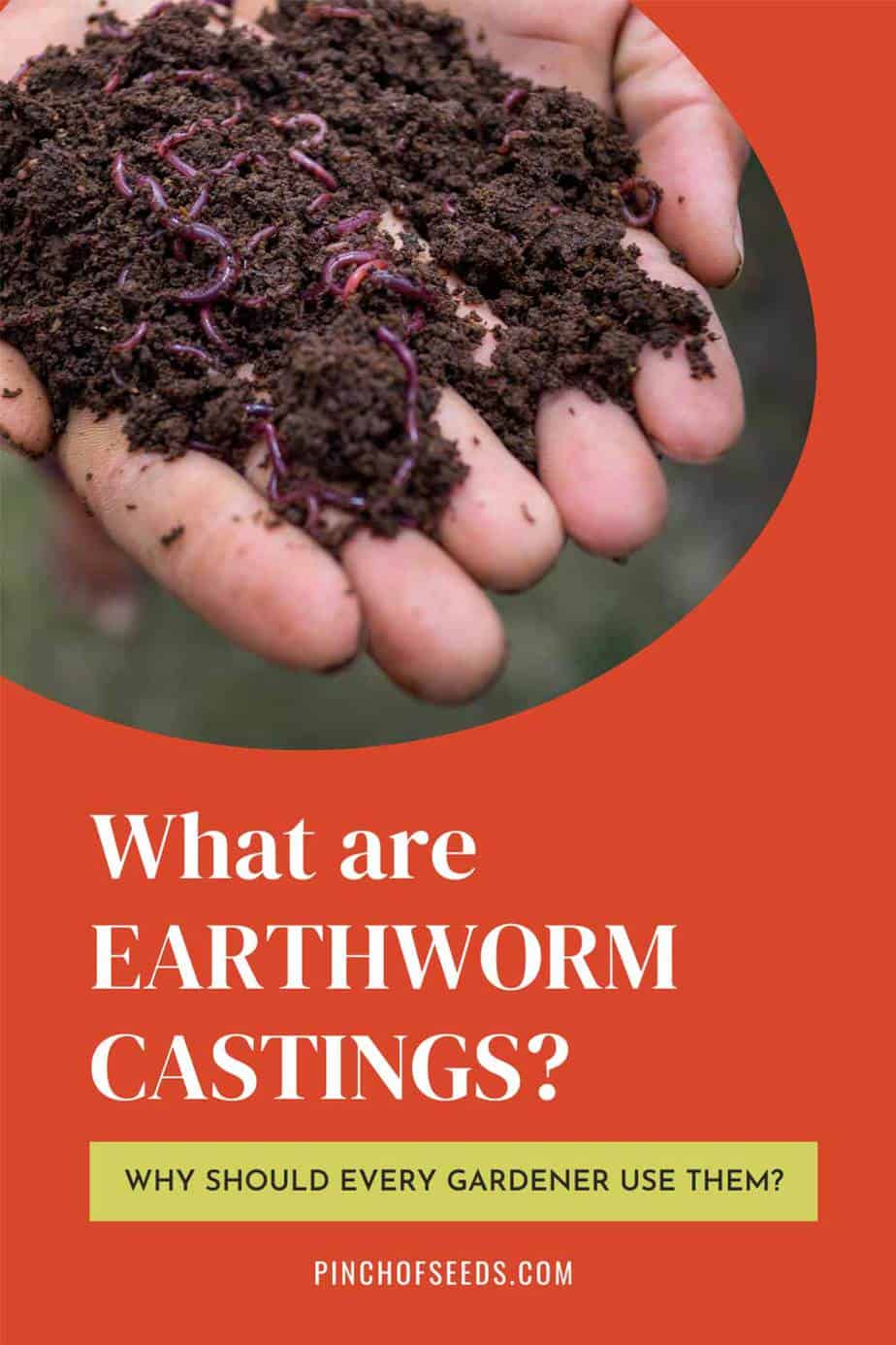 What are earthworm castings?