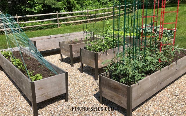 Elevated Garden Beds What You Must Know Before Ing - Plastic Raised Garden Beds On Wheels