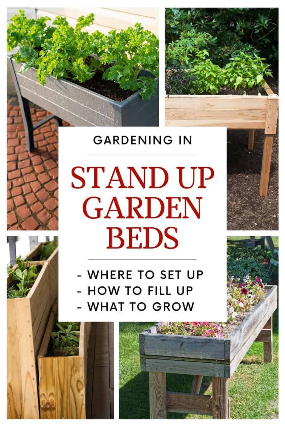 Collection of waist-high stand garden planters