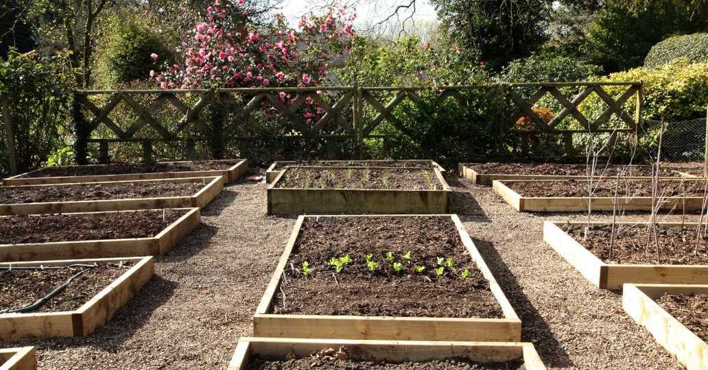 Raised garden beds preparation before amending the soil