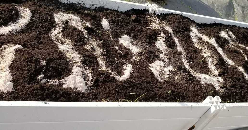 Rock dust added to amend raised bed soil