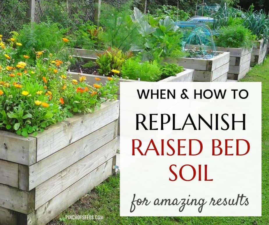 soil-amendments-for-raised-garden-beds-how-to-add-them