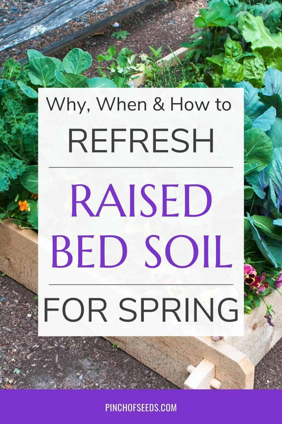 Amend raised bed soil to refresh it for spring planting