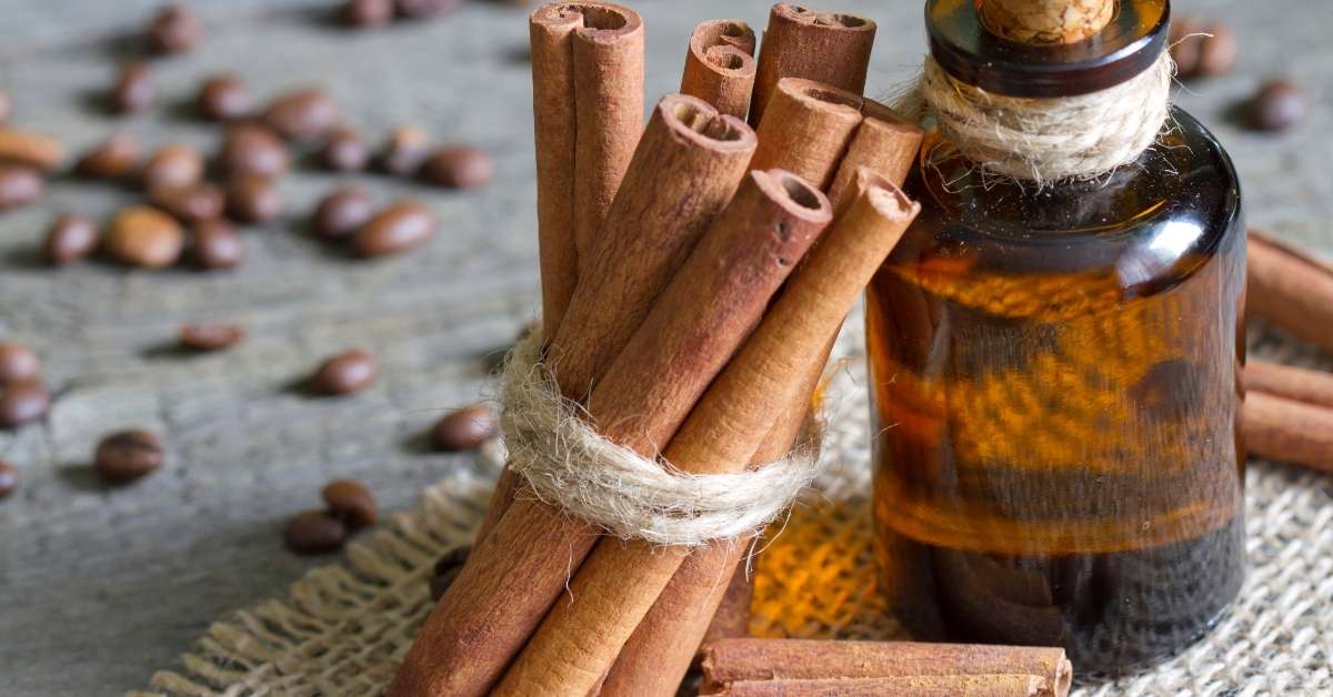Cinnamon oil and sticks for ant control