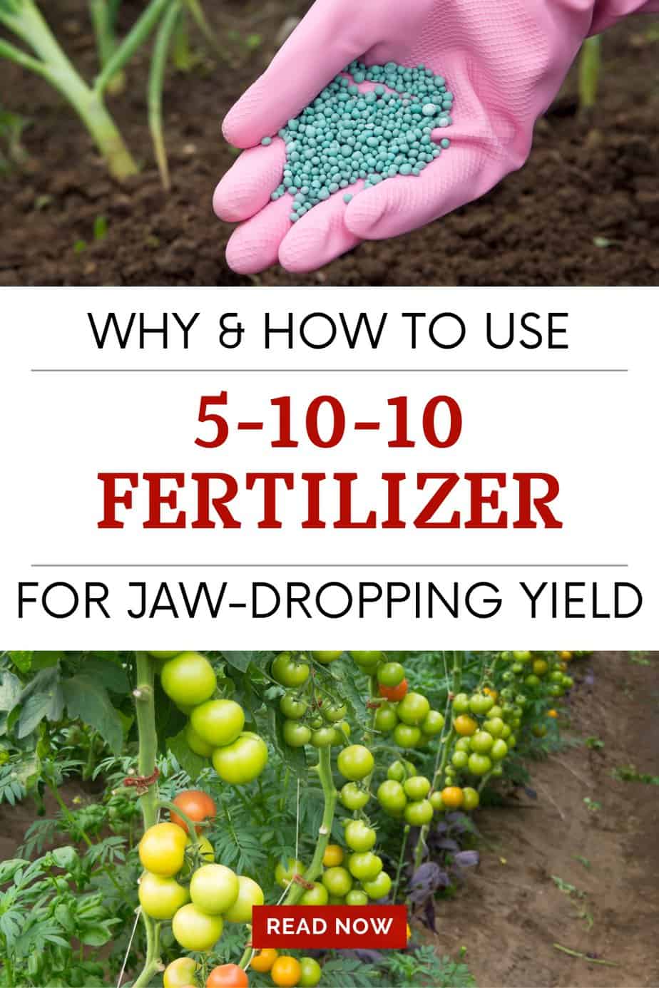 Why and how to use 5-10-10 fertilizer pin.