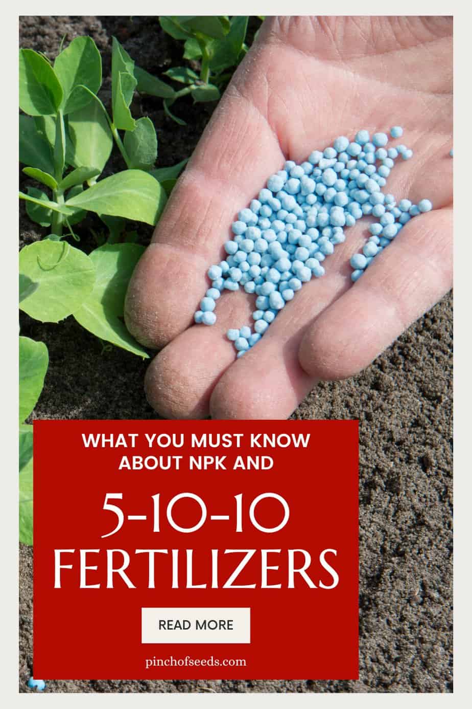 Why and how to use 5-10-10 fertilizer for amazing vegetable garden.